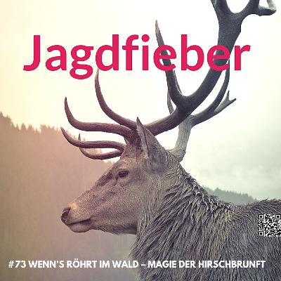 #73 Wenn’s röhrt im Wald – Magie der Hirschbrunft