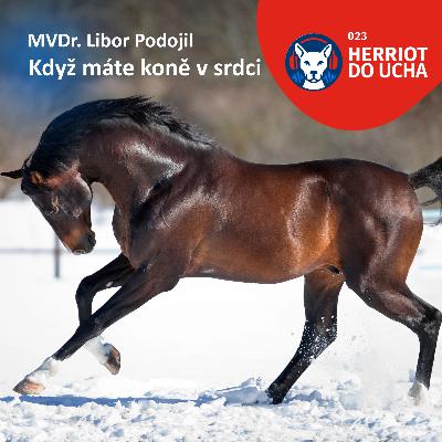 #23 Když máte koně v srdci 🐎 - MVDr. Libor Podojil #23 Když máte koně v srdci 🐎 - MVDr. Libor Podojil