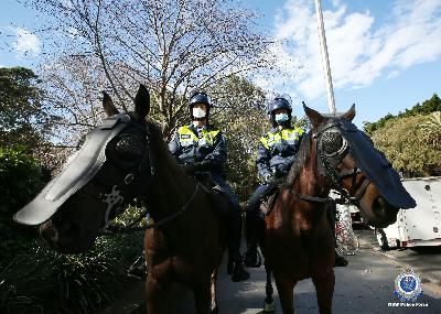 Nightlife History - The Mounted Police