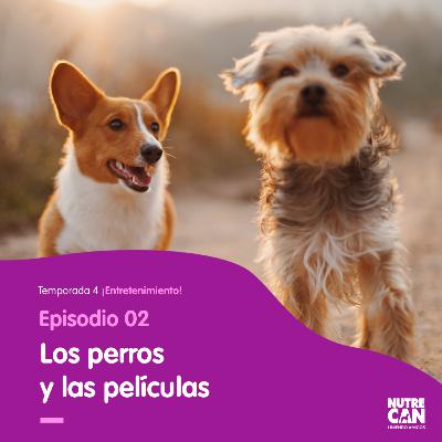 Estrellas de cine. Estrellas de cine.