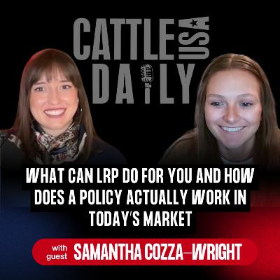 291: What Can LRP Do For You and How Does a Policy Actually Work in Today’s Market 291: What Can LRP Do For You and How Does a Policy Actually Work in Today’s Market