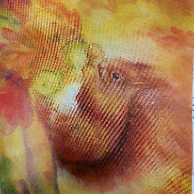 🍂הסנאי ואגוז הפלא -סיפור סתיו יפהפה על חריצות, צניעות ותמונות טבע קסומות- בשפה עשירה ומלאה 🍂הסנאי ואגוז הפלא -סיפור סתיו יפהפה על חריצות, צניעות ותמונות טבע קסומות- בשפה עשירה ומלאה