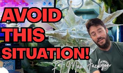 ☠️Pest Nightmares, Garden Monitoring, and Joining the Industry ft. Max Jackson