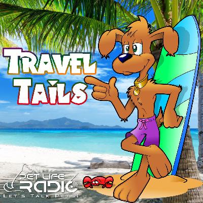 PetLifeRadio.com - Travel Tails - Episode 38 Take Your Dog to Camp