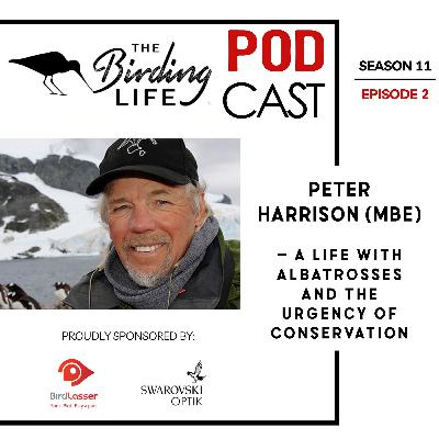 TBL Podcast Season 11 Episode 2 - Peter Harrison MBE – A Life with Albatrosses and the Urgency of Conservation