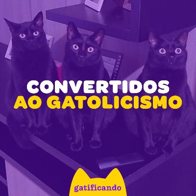 Tive 18 cachorros e nenhum gato! Convertidos com sucesso. Gatificando #50 (Adriane, Penélope, Frederico & Francisco)