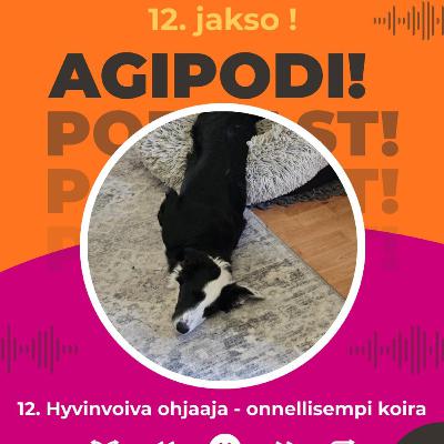 12. Hyvinvoiva ohjaaja - onnellisempi koira
