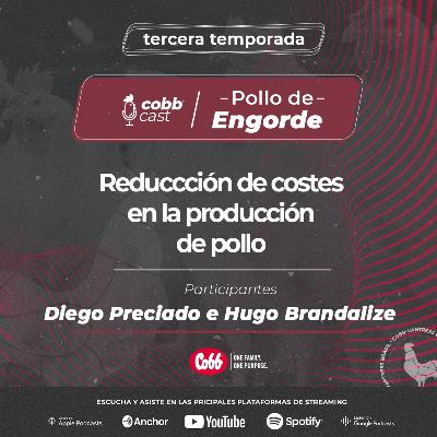 #06 Reducción de costes en la producción de pollo