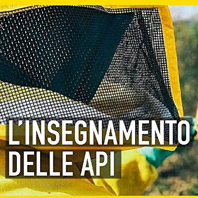 Le api ci insegnano il valore del cibo. Con Paolo Fontana
