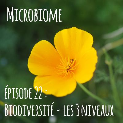 Microbiome - épisode 22 : biodiversité - les 3 niveaux