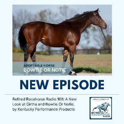 A New Look at Girths and BOWTIE OR NOTIE by Kentucky Performance Products