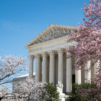 Can liberals stop Trump in the courts?