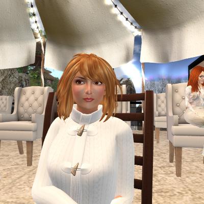 History of the Community Virtual Library (Part 1) History of the Community Virtual Library (Part 1)