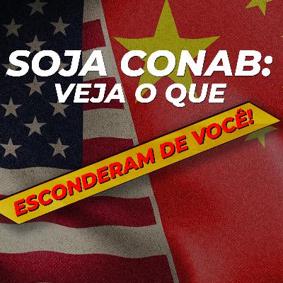 SOJA CONAB: VEJA O QUE ESCONDERAM DE VOCÊ! SOJA CONAB: VEJA O QUE ESCONDERAM DE VOCÊ!