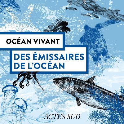 Des émissaires de l'océan - Océan Vivant - Épisode 5/6