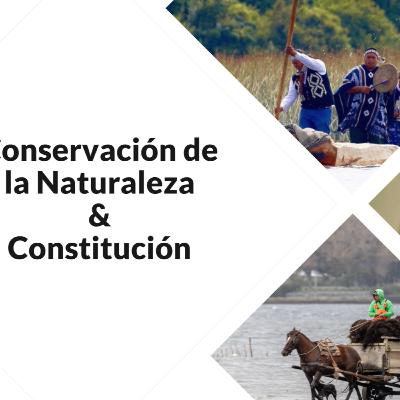 Cap. 5 - Conservación de la Naturaleza & Constitución
