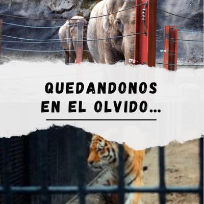 Zoológico de Mayagüez, P. R.