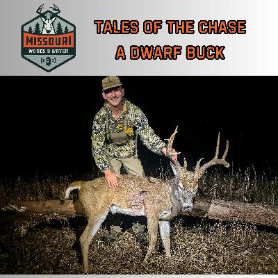 Missouri  Woods & Water - Tales Of The Chase: A Dwarf Buck