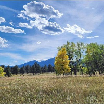 Trust (10-5-25) Anthony Ceder Trust (10-5-25) Anthony Ceder