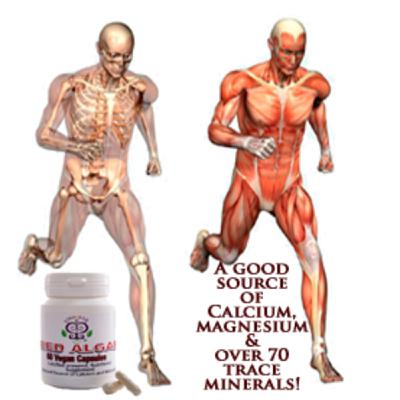 Healthy Living Podcast Pt.2