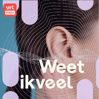 Het gehoor