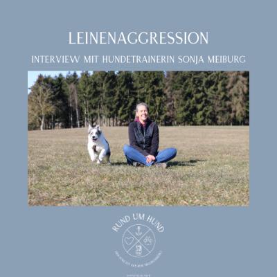 Leinenaggression - Interview mit Hundetrainerin Sonja Meiburg Leinenaggression - Interview mit Hundetrainerin Sonja Meiburg