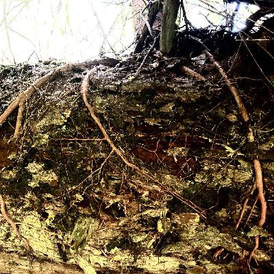 Feelings - Stuck Loving Stuck Things Feelings - Stuck Loving Stuck Things