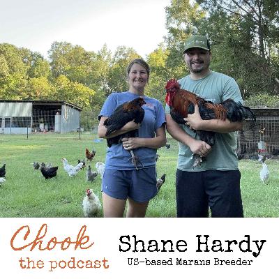 Shane Hardy, US-based Marans Breeder