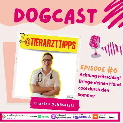 #6 Achtung Hitzschlag! Bringe deinen Hund cool durch den Sommer #6 Achtung Hitzschlag! Bringe deinen Hund cool durch den Sommer