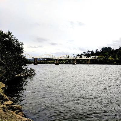Connecting the people of North Waikato through a network of tracks