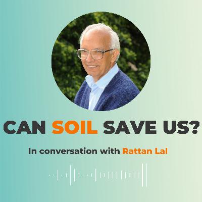 The secrets of soil The secrets of soil