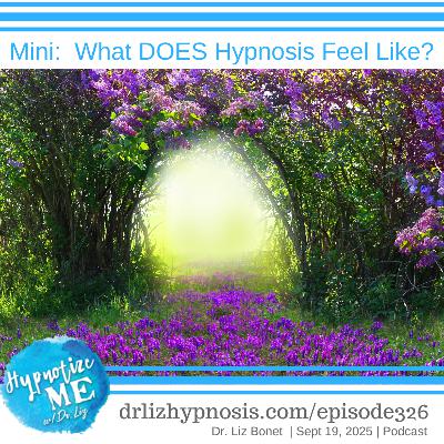 HM326 Mini:  What DOES Hypnosis feel like?