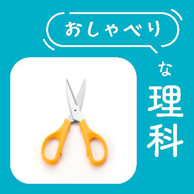 #140【6年 てこのはたらきとしくみ③】身の回りの「てこ」って思い浮かぶ？