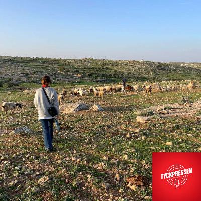 97. Den misshandlade Oscarsvinnaren – Vittnesmål från Västbanken 97. Den misshandlade Oscarsvinnaren – Vittnesmål från Västbanken