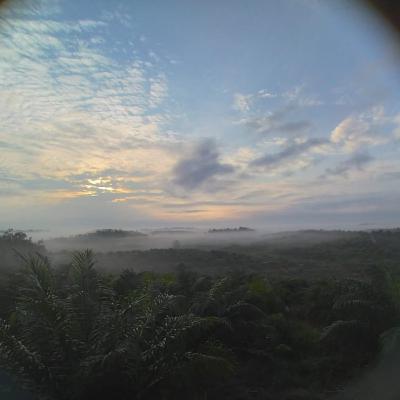 Harus Bahagia Harus Bahagia