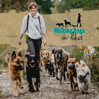 Loki und die schweren Jungs