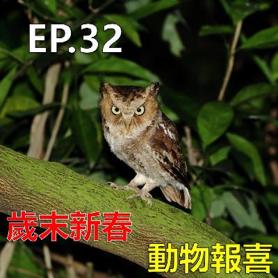 EP32_歲末新春_動物報喜 EP32_歲末新春_動物報喜