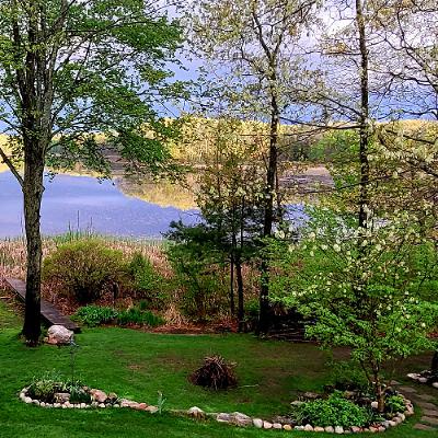 Spring Dawn Chorus, Sweet Lake, MI, 5/13/2025