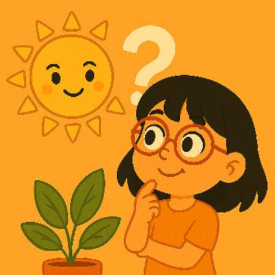 Pourquoi le soleil n’est pas une planète ?