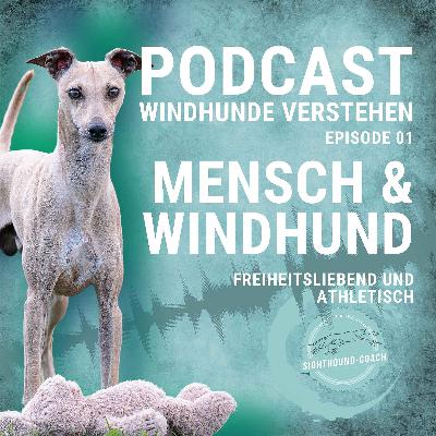 Die Beziehung zwischen Mensch und Windhund Die Beziehung zwischen Mensch und Windhund