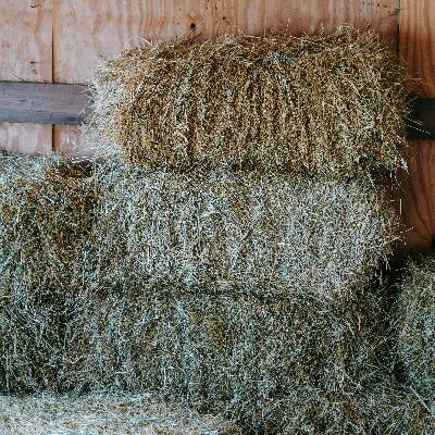 WDE Judge, Harvest, UWRF Shortcourse, WDE Forage Winner