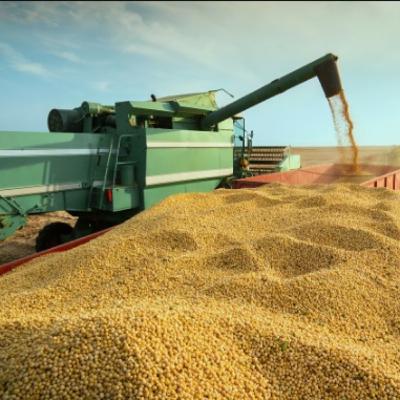 Economia e Negócios: Vietnã acelera e deixa Brasil para trás em educação, tecnologia e agronegócio