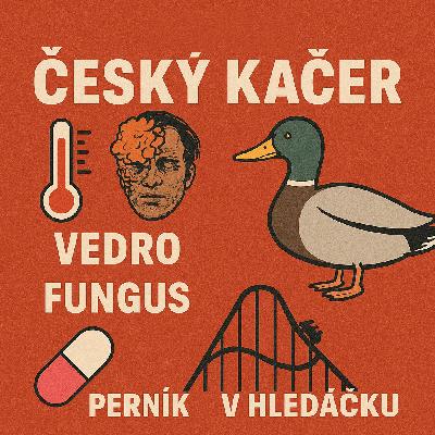ČESKÝ KAČER