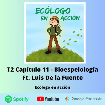T2 Capítulo 11 - Bioespeleología Ft. Luis De la Fuente