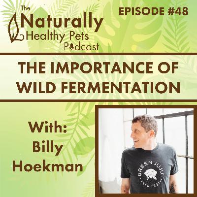 EP 48: The Importance of Wild Fermentation with Billy Hoekman