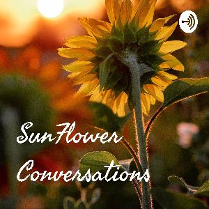 Episode 1 : The Sun Itself . ( The Intro )