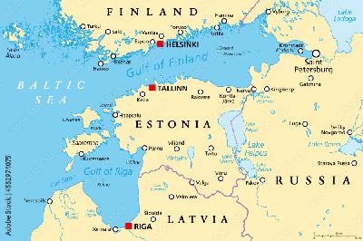 What Can We Learn From Estonia?