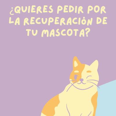 Código sagrado para salud en mascotas 290