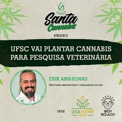 UFSC vai plantar cannabis para pesquisa veterinária