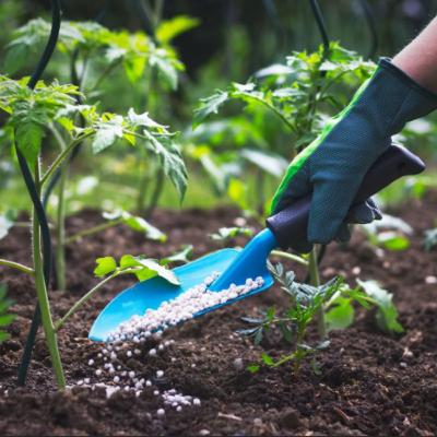 #11: O papel dos fertilizantes na garantia do suprimento de alimentos para gerações futuras
